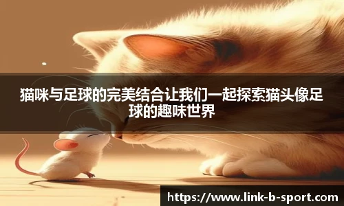 猫咪与足球的完美结合让我们一起探索猫头像足球的趣味世界