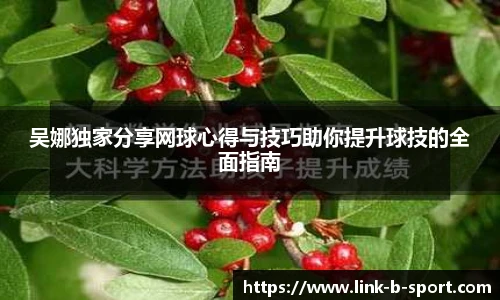 吴娜独家分享网球心得与技巧助你提升球技的全面指南